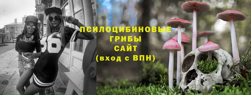 Галлюциногенные грибы Magic Shrooms  Каргополь 